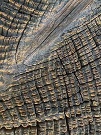 Full frame shot of wood