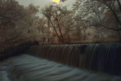 Scenic view of waterfall on bare trees