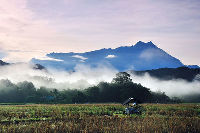 Scenic view of agricultural landscape against sky