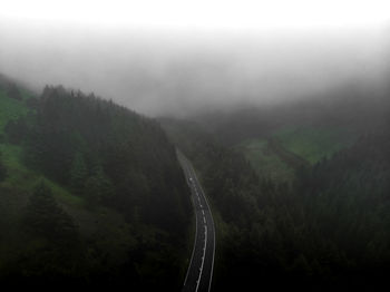 Panoramic view of road in forest