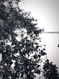 Scenic view of lake against clear sky