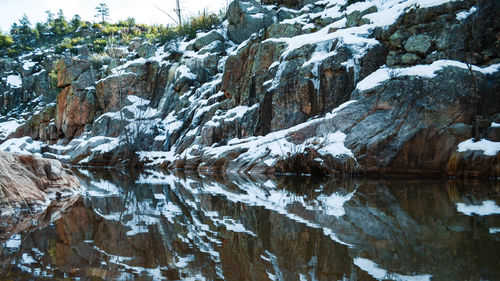 Reflection of trees in water