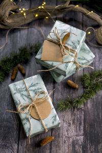 Christmas decorations on tree trunk