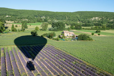 Scenic view of agricultural field against clear sky