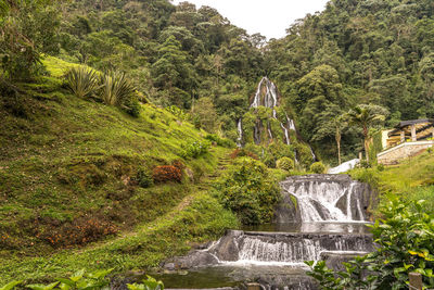 High angle view of waterfall in forest