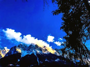 Low angle view of silhouette trees against blue sky