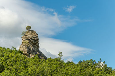 Rocky outcrop in the méouge gorges in the drome. france.