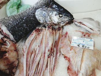 High angle view of fish for sale in market