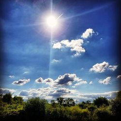 Low angle view of trees against sky