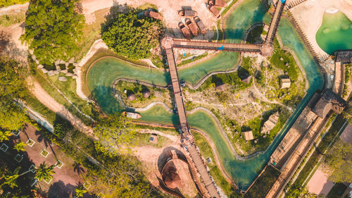 High angle view of road amidst trees