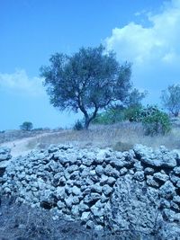 Scenic view of landscape against cloudy sky