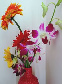 Close-up of flowers over white background