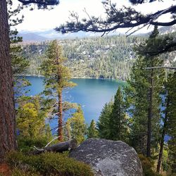 Scenic view of lake by trees against sky