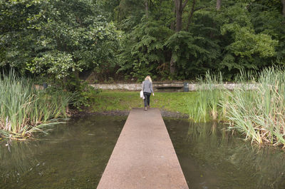 Rear view of man walking on country road