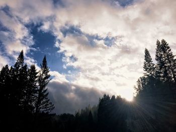 Low angle view of silhouette trees against sky