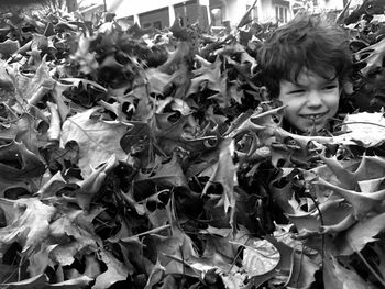 Close-up of boy on plants
