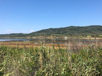 Scenic view of land against clear blue sky