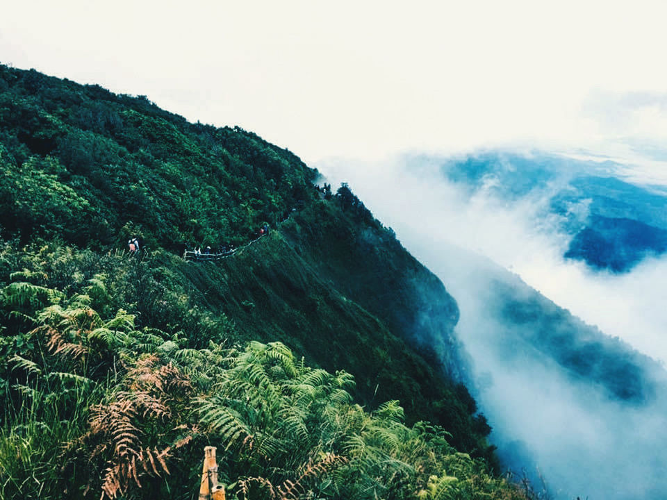 SCENIC VIEW OF TREES AND MOUNTAINS AGAINST SKY