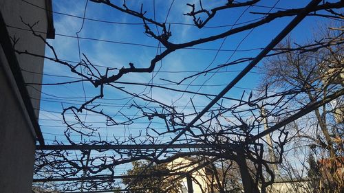 Low angle view of bare tree against sky