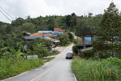 Road amidst trees and houses against sky