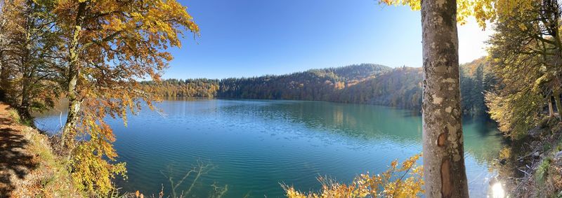 Scenic view of lake against clear sky during autumn