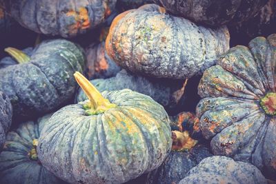 Full frame shot of pumpkin