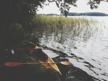 Scenic view of lake in forest