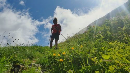 Rear view of man walking by flowers against sky