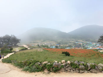 Scenic view of landscape against sky