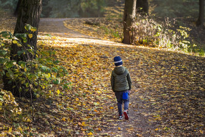 Rear view of boy walking in forest