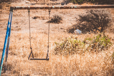 High angle view of plants growing on field