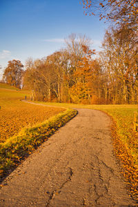 Road amidst trees on field against sky during autumn