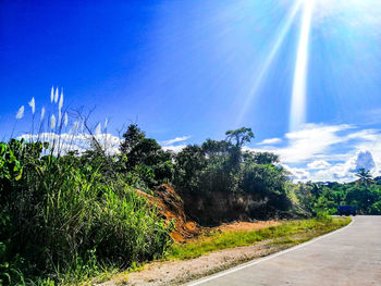 Scenic view of trees against blue sky on sunny day