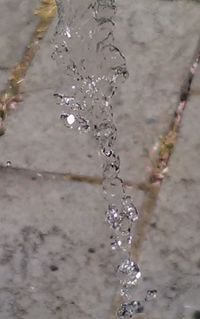 Close-up of water drops on plant