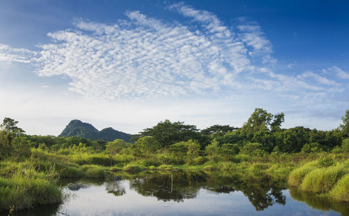 Scenic view of trees and mountains against sky