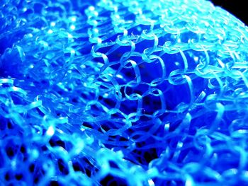 Close-up of coral underwater