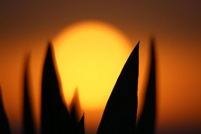 Close-up of orange sun during sunset