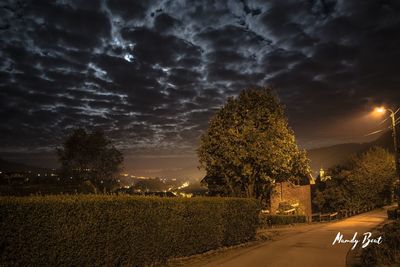 Trees against sky