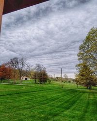 Scenic view of field against sky