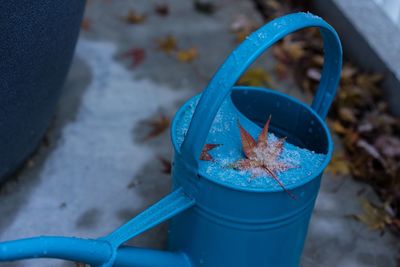 High angle view of blue container on potted plant