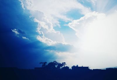 Low angle view of silhouette trees and buildings against sky