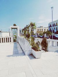 Potted plants on footpath by building against sky