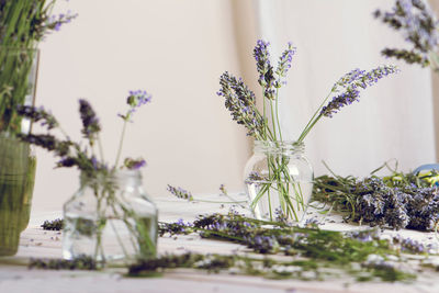 Close-up of flowering plants in vase