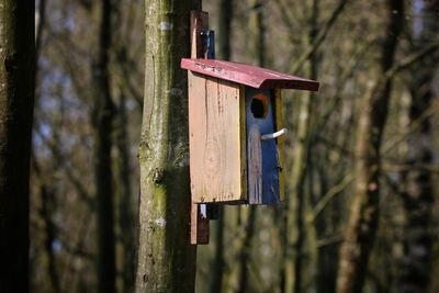 Close-up of bird wooden house