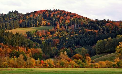 Trees on landscape against sky during autumn