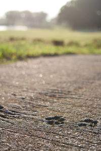 Surface level of road against blurred background