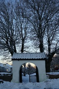 Bare trees in park