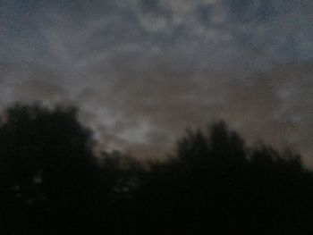 Low angle view of silhouette trees against sky at night