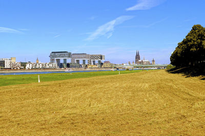 Field with kranhaus buildings in background