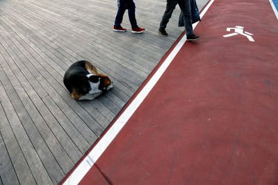 Low section of people walking on street